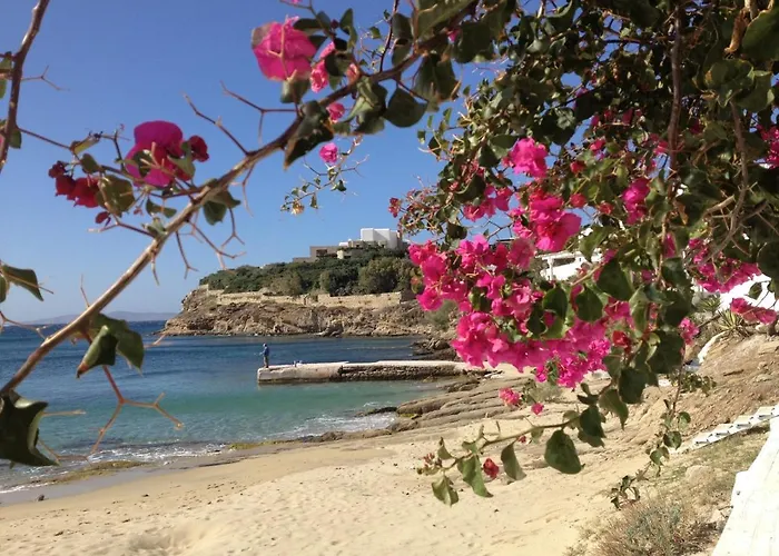 מלון C Bay Mykonos Town